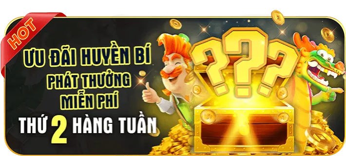 Kênh truyền thông chính thức C54